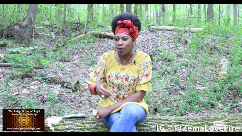 Covid 19 Corona Virus Pandemic Talk with Zema Lovefire